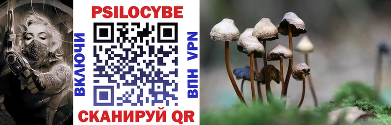 продажа наркотиков  Иркутск  Галлюциногенные грибы Cubensis 