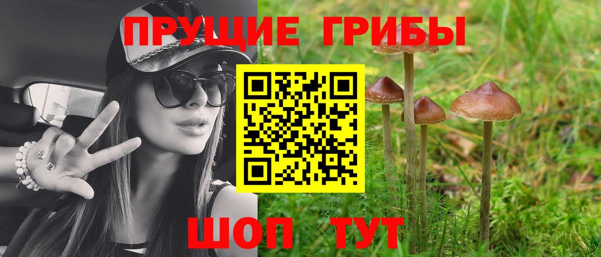 Иркутск  купить наркотики цена  Вход с VPN  Псилоцибиновые грибы мухоморы 