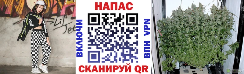 Бошки Шишки AK-47 Иркутск